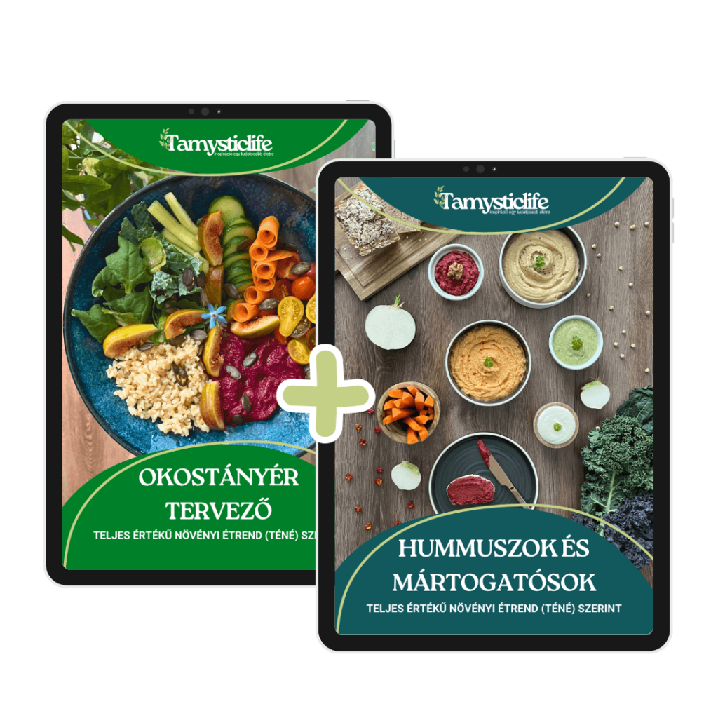 teljes értékű növényi recept - Hummuszok-es-Okostanyer