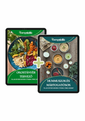 teljes értékű növényi recept - Hummuszok-es-Okostanyer