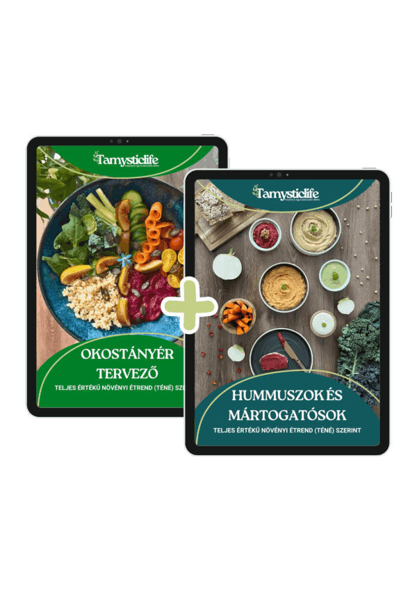 teljes értékű növényi recept - Hummuszok-es-Okostanyer