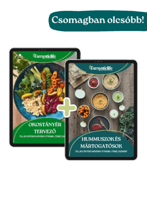 teljes értékű növényi recept - Hummuszok-es-Okostanyer