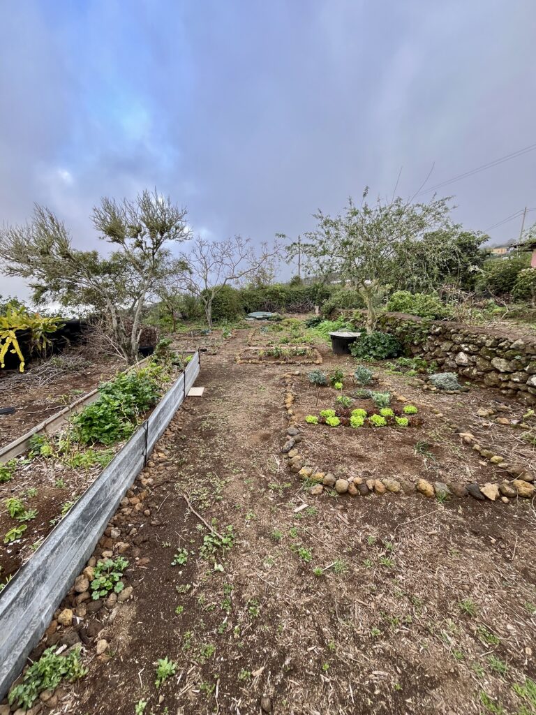 Workaway El Hierro