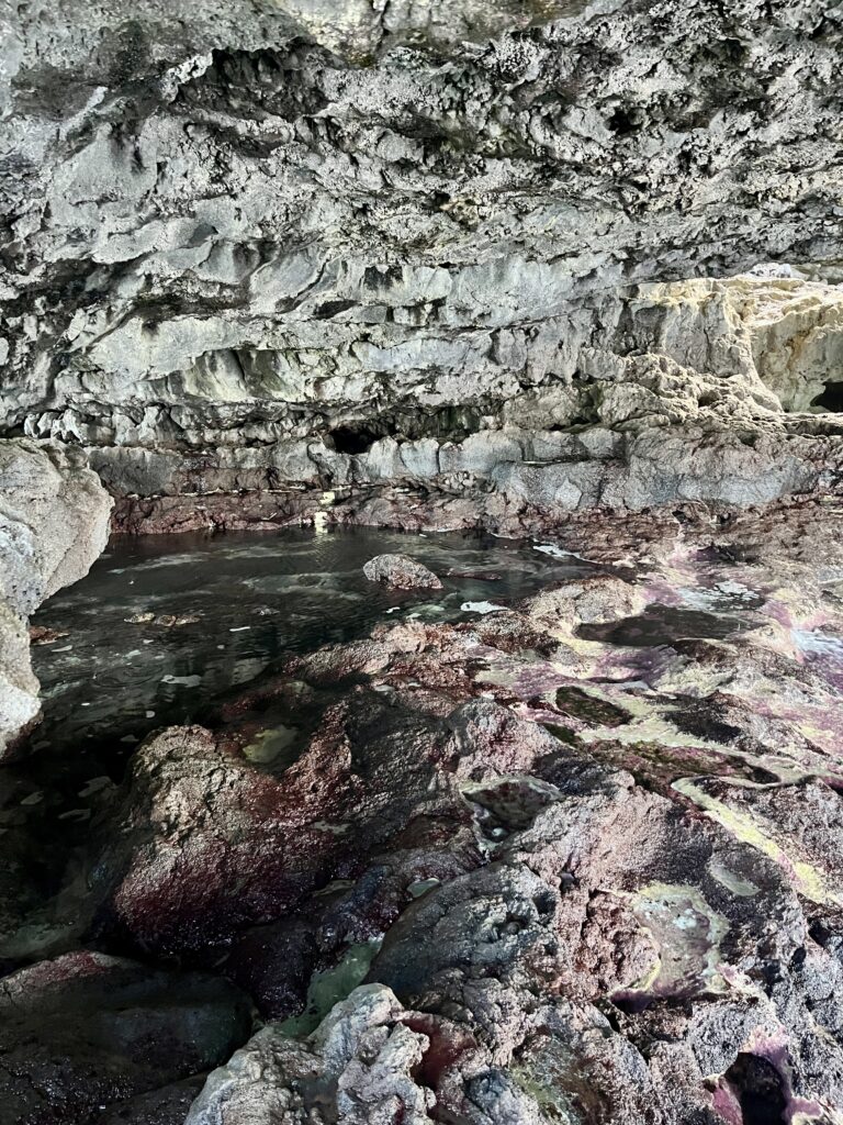 Charco Manso_El Hierro