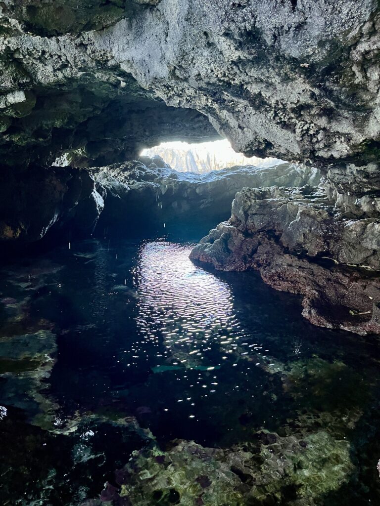 Charco Manso_El Hierro