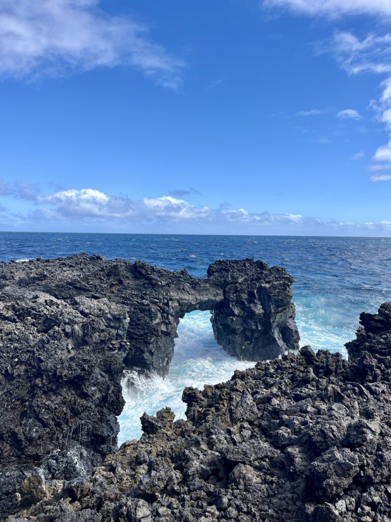 Tamaduste_El Hierro