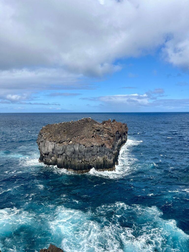 Tamaduste_El Hierro