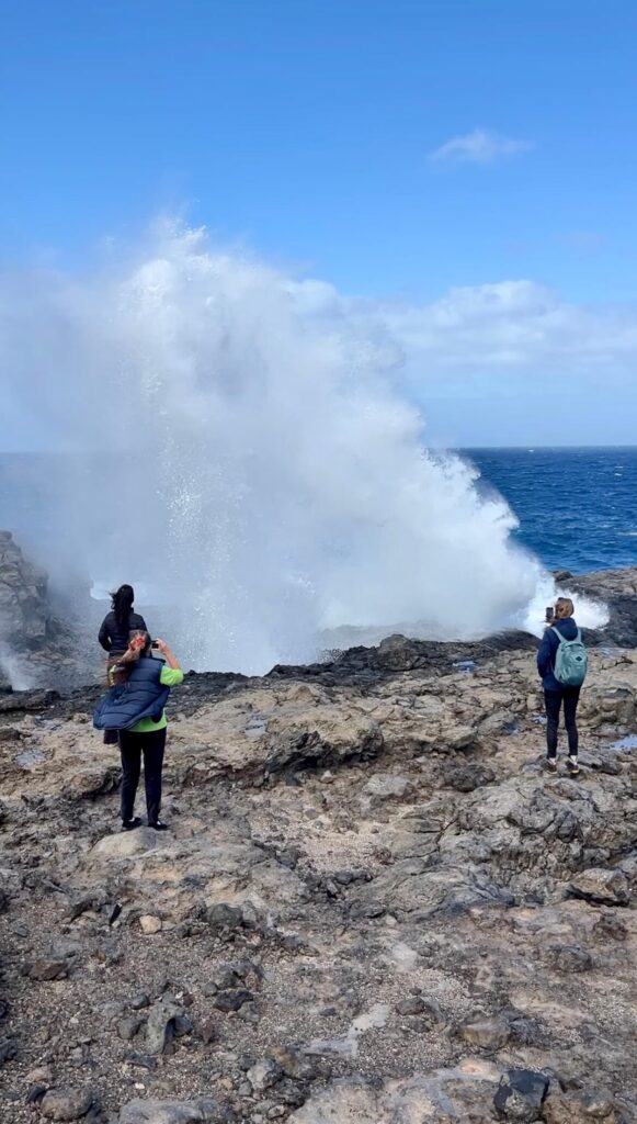 Charco Manso_El Hierro