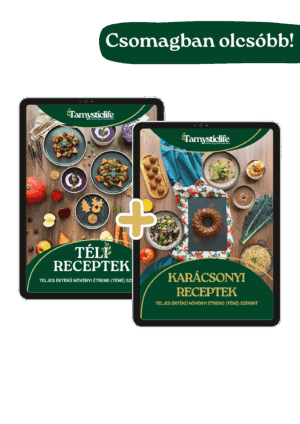 téli és karácsonyi receptek e-könyv csomag