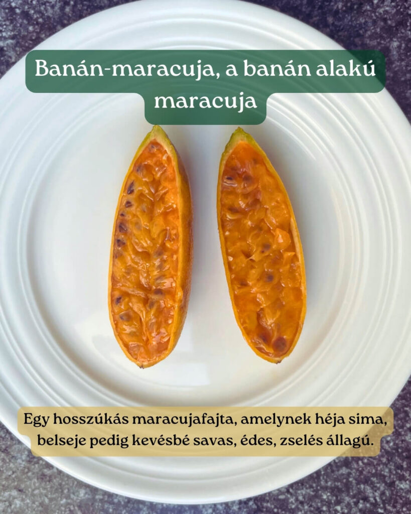 Ételek Madeirán_gyümölcs_banán-maracuja