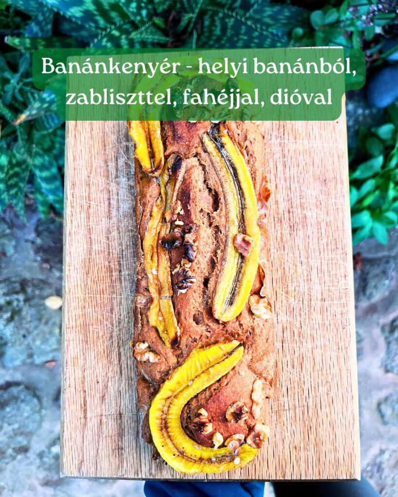 ételek a Kanári-szigeteken - utazás és önkénteskedés