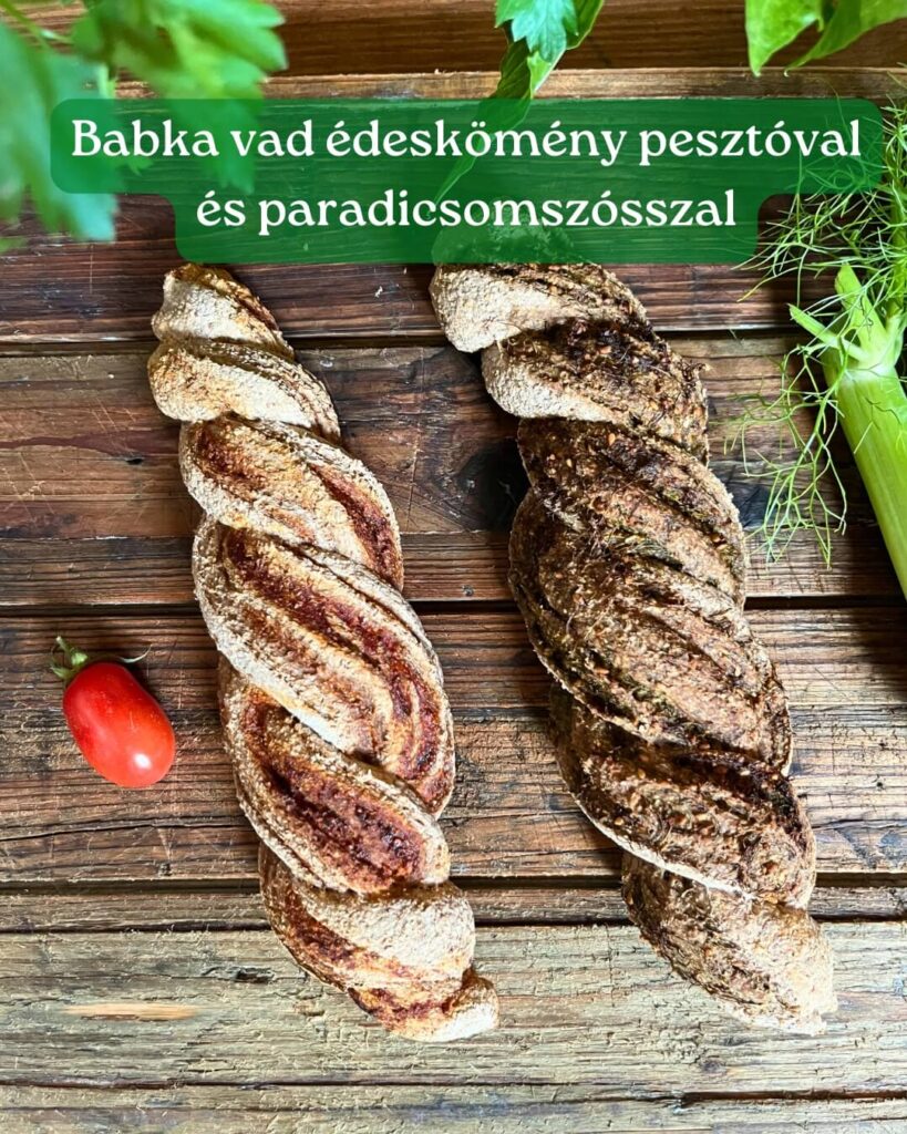 Babka vad édeskömény-pesztóval és paradicsomszósszal