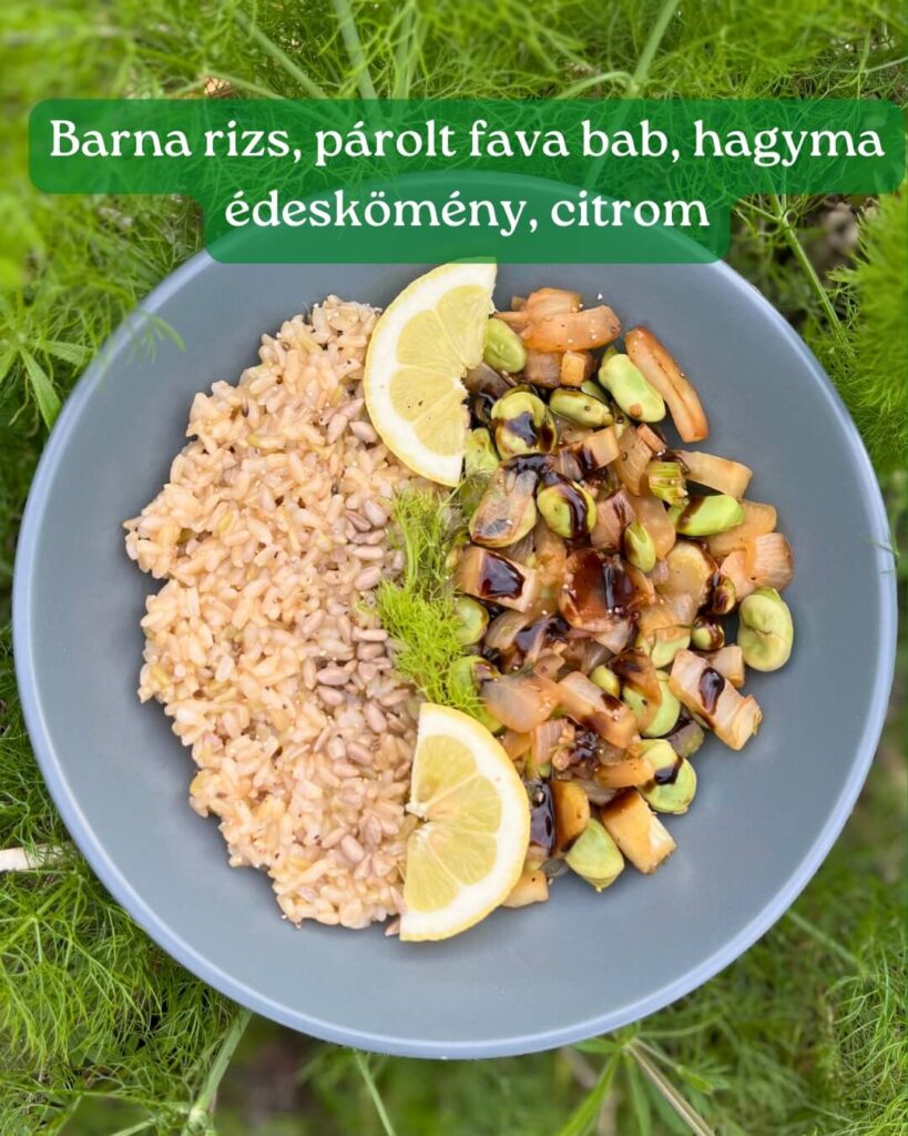 barna rizs pirított fava babbal