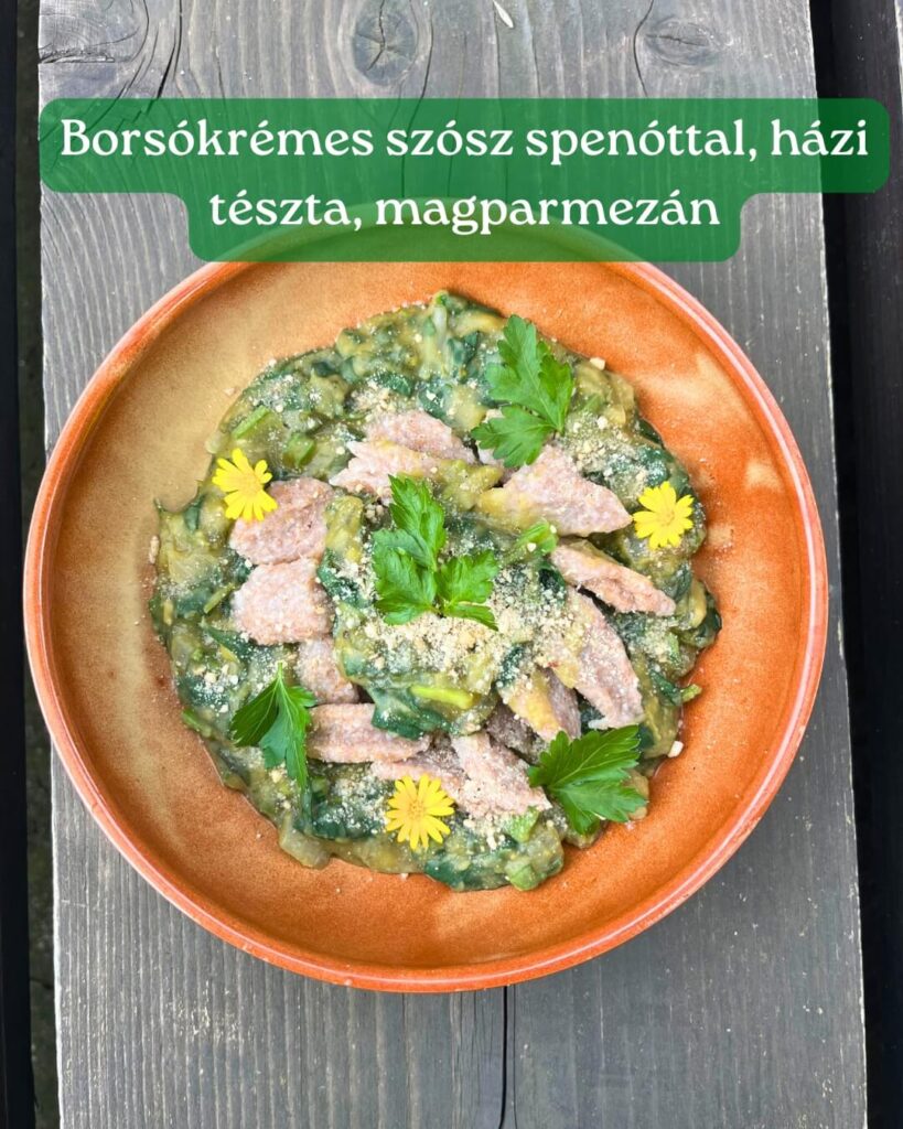 borsókrémes szósz spenóttal, házi tésztával