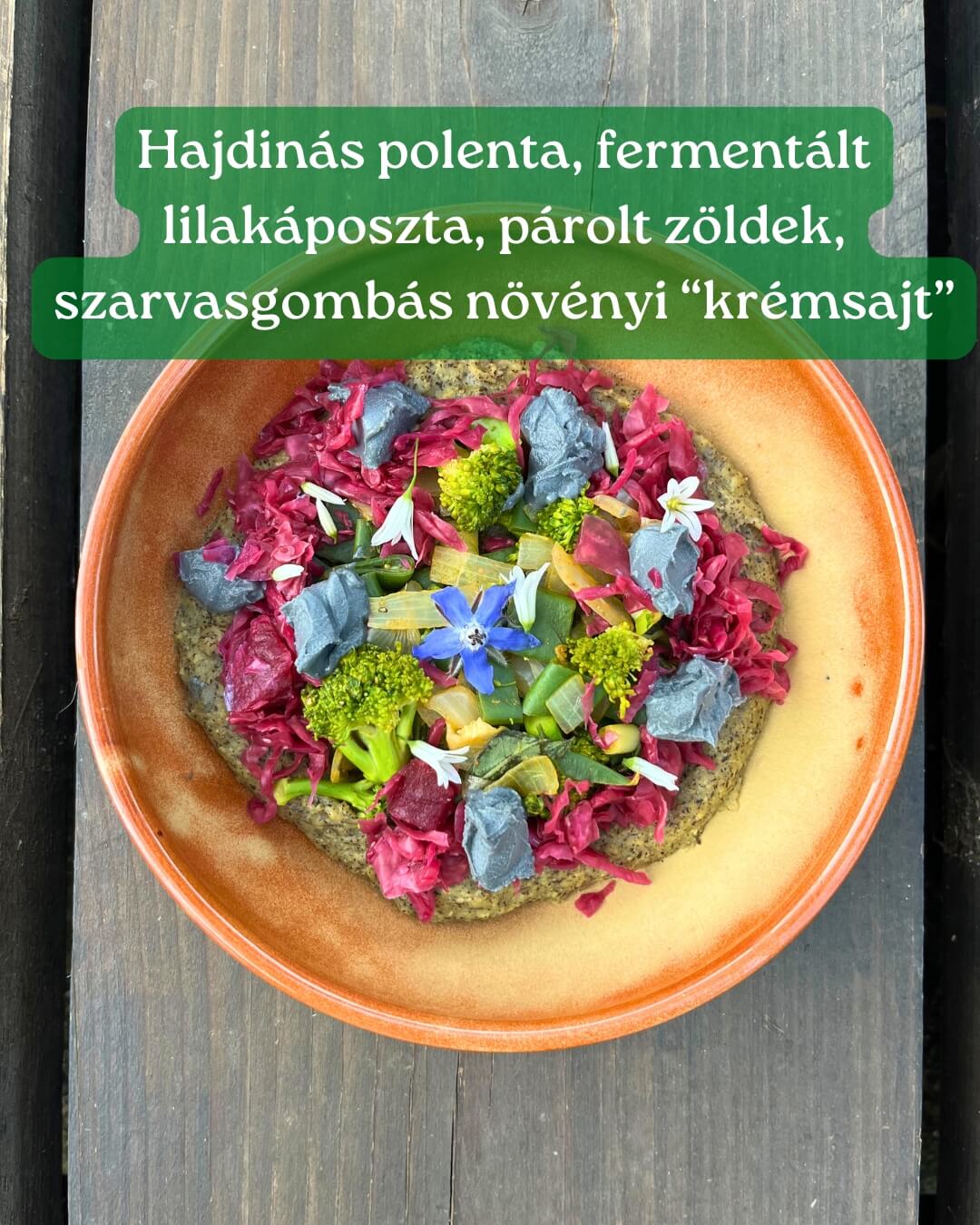 hajdinás polenta, fermentált lilaképoszta, párolt zöldek. szarvasgombás növényi "krémsajt"