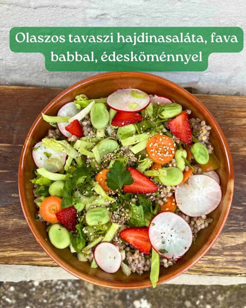 olaszos tavaszi hajdinasaláta