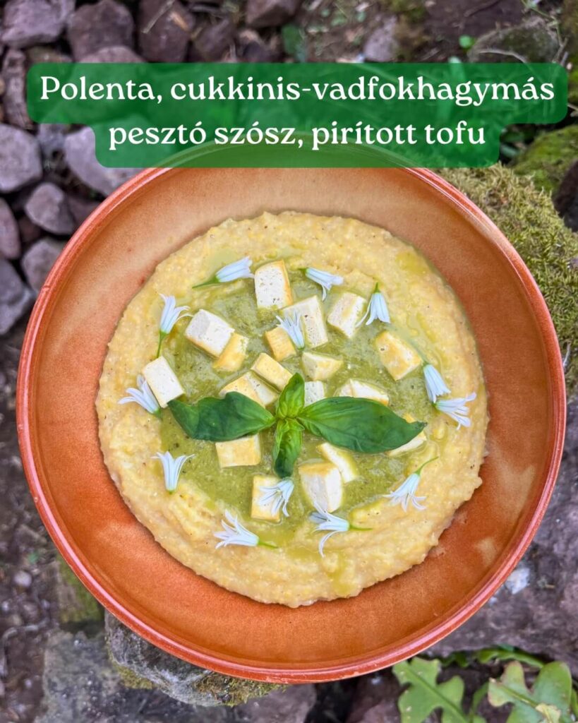 ételek Szardínián - polenta, cukkinis-vadfokhagymás pesztó szósz