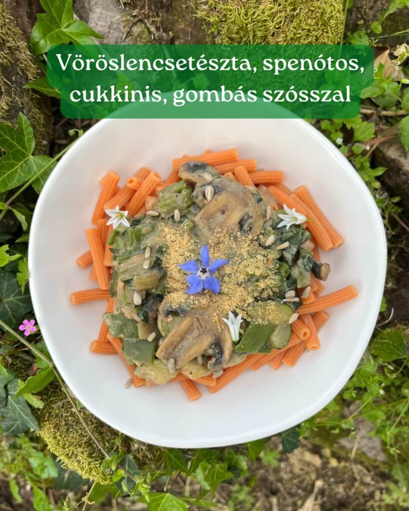 vöröslencsetészta, spenótos cukkinis, gombás szósszal