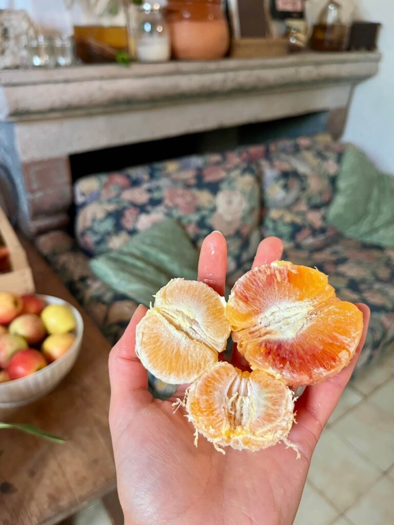 Mandarin és vérnarancs