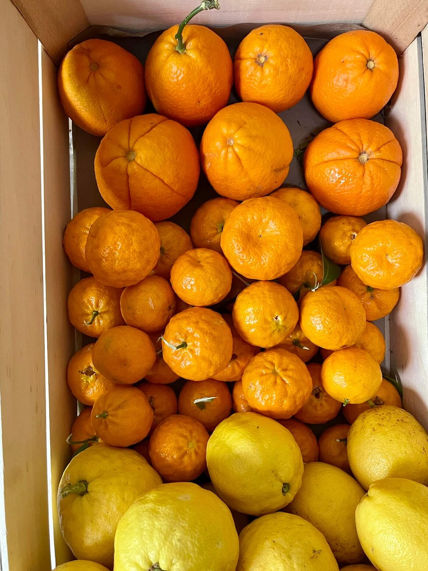 egy láda narancs, mandarin és citrom a helyi olasz nénitől