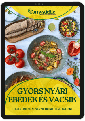 Gyors nyári receptek - Nyári receptkönyv borító