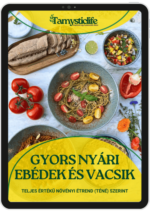 Gyors nyári receptek - Nyári receptkönyv borító