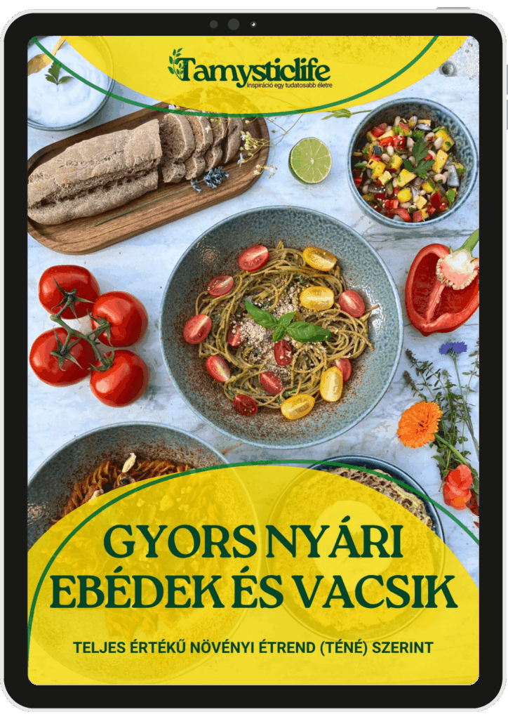 Gyors nyári receptek - Nyári receptkönyv borító