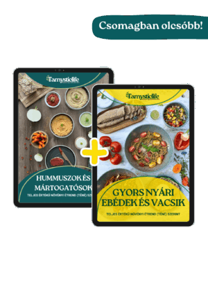 gyors nyári receptek és hummuszok e-könyvek