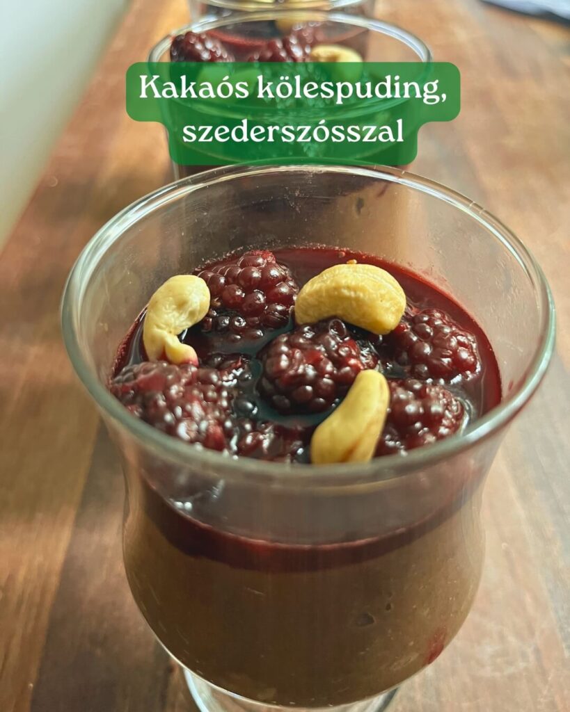 Kakaos-kolespuding-szederszosszal