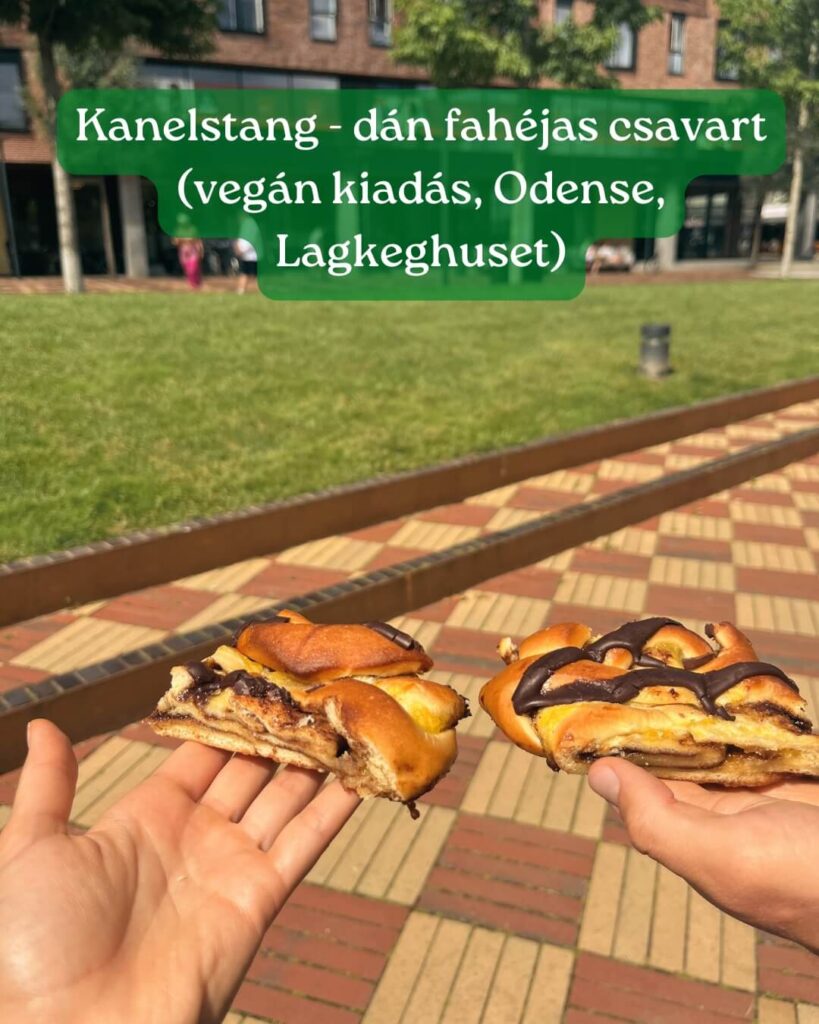 Kanelstang-dan-fahejas-csavart