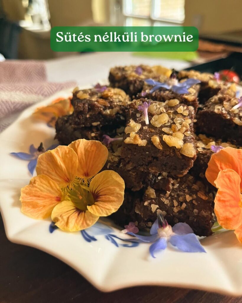 Sutes-nelkuli-brownie