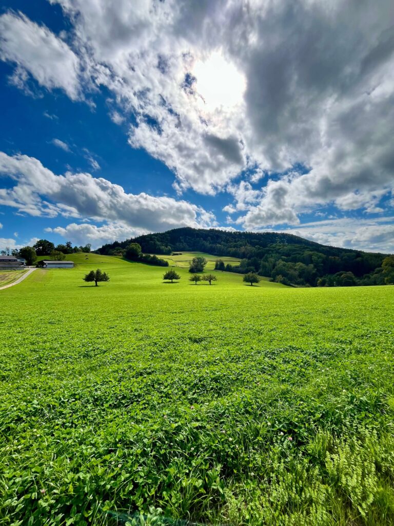 Hellikon_Svájc
