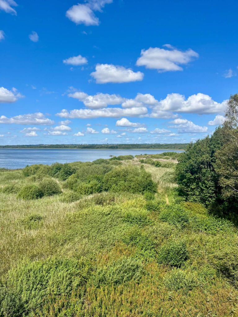 Krankesjön - Svédország
