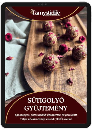 vegán sütigolyó receptek - Sütigolyó Gyűjtemény receptkönyv borító